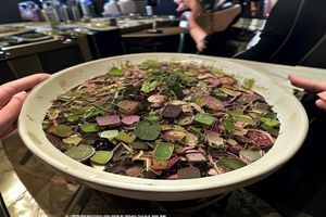 某百万粉丝美食博主被曝光探店收费潜规则，黑料吃瓜网独家揭露网红带货背后的灰色产业链